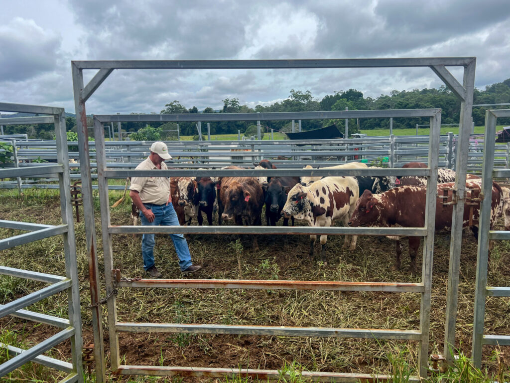 Bryant and Susie Ussher of Eastwell Farms. Phoenix by AGDATA customer.